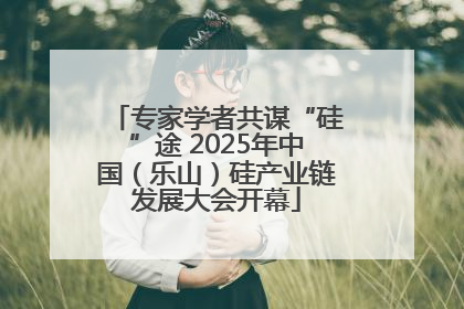 专家学者共谋“硅”途 2025年中国（乐山）硅产业链发展大会开幕