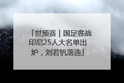 世预赛｜国足客战印尼25人大名单出炉，刘若钒落选