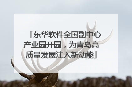 东华软件全国副中心产业园开园，为青岛高质量发展注入新动能