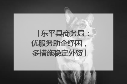 东平县商务局：优服务助企纾困，多措施稳定外贸
