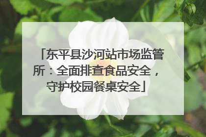 东平县沙河站市场监管所：全面排查食品安全，守护校园餐桌安全