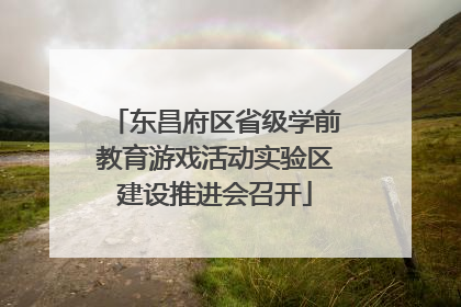 东昌府区省级学前教育游戏活动实验区建设推进会召开