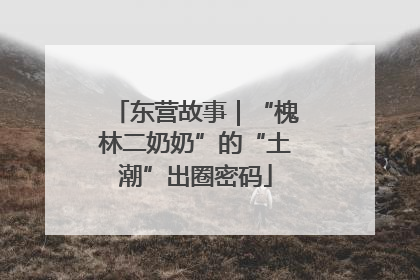 东营故事｜“槐林二奶奶”的“土潮”出圈密码