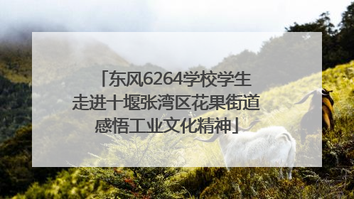 东风6264学校学生走进十堰张湾区花果街道感悟工业文化精神