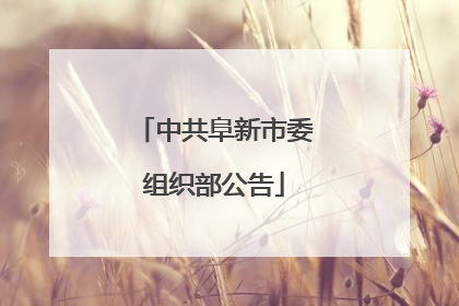 中共阜新市委组织部公告