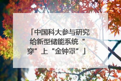 中国科大参与研究 给新型储能系统“穿”上“金钟罩”