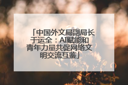 中国外文局副局长于运全：AI赋能和青年力量共促网络文明交流互鉴