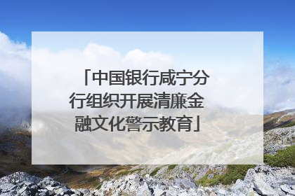 中国银行咸宁分行组织开展清廉金融文化警示教育