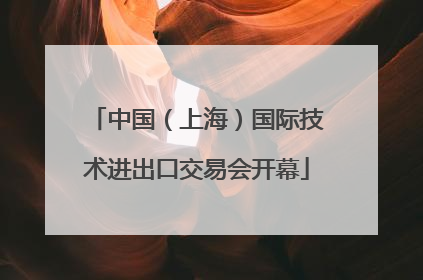 中国（上海）国际技术进出口交易会开幕