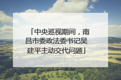 中央巡视期间，南昌市委政法委书记吴建平主动交代问题