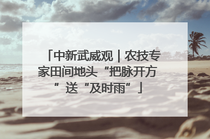 中新武威观｜农技专家田间地头“把脉开方”送“及时雨”
