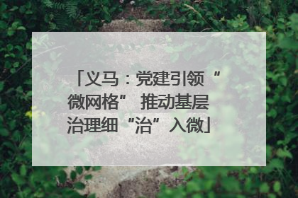 义马：党建引领“微网格” 推动基层治理细“治”入微