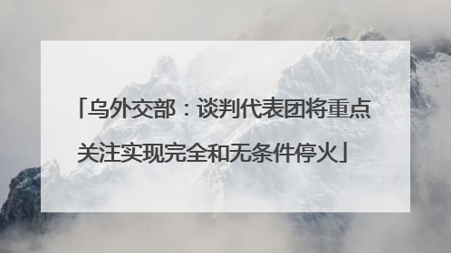 乌外交部：谈判代表团将重点关注实现完全和无条件停火