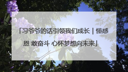 习爷爷的话引领我们成长｜懂感恩 敢奋斗 心怀梦想向未来
