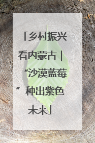 乡村振兴看内蒙古｜“沙漠蓝莓”种出紫色未来