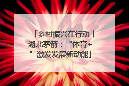 乡村振兴在行动丨湖北茅箭：“体育+”激发发展新动能