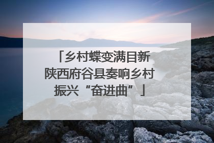 乡村蝶变满目新 陕西府谷县奏响乡村振兴“奋进曲”