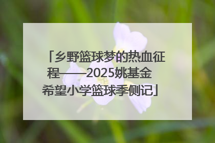 乡野篮球梦的热血征程——2025姚基金希望小学篮球季侧记