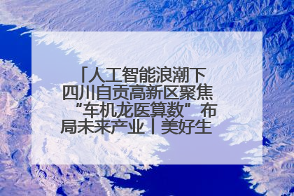 人工智能浪潮下 四川自贡高新区聚焦“车机龙医算数”布局未来产业丨美好生活有“盐”味