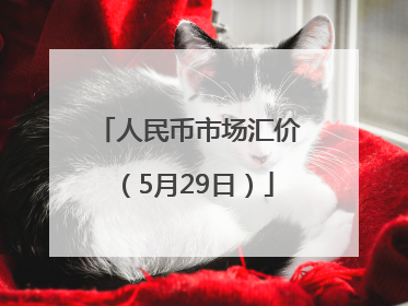 人民币市场汇价（5月29日）