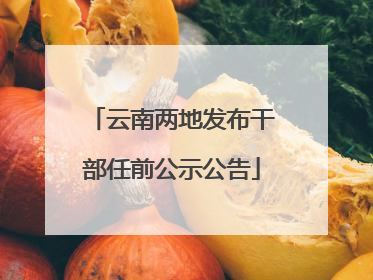 云南两地发布干部任前公示公告