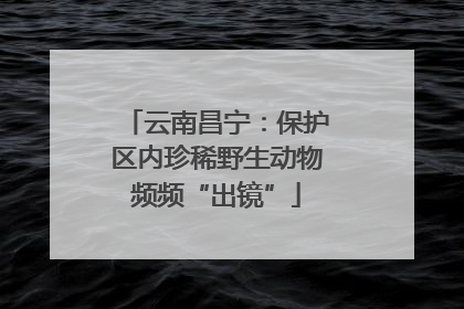 云南昌宁：保护区内珍稀野生动物频频“出镜”