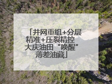 井网重组+分层精准+压裂精控 大庆油田“唤醒”薄差油藏
