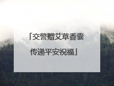 交警赠艾草香囊 传递平安祝福