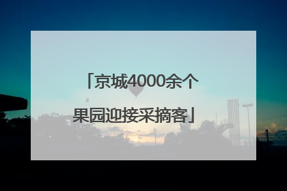 京城4000余个果园迎接采摘客