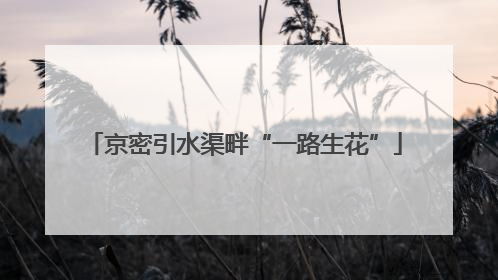 京密引水渠畔“一路生花”