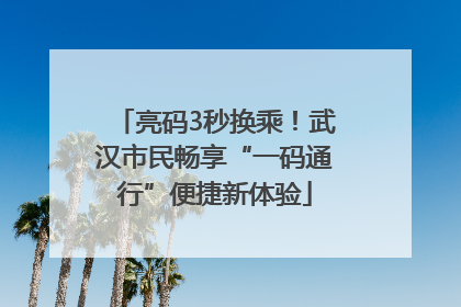 亮码3秒换乘！武汉市民畅享“一码通行”便捷新体验