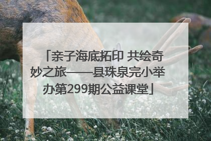 亲子海底拓印 共绘奇妙之旅——县珠泉完小举办第299期公益课堂