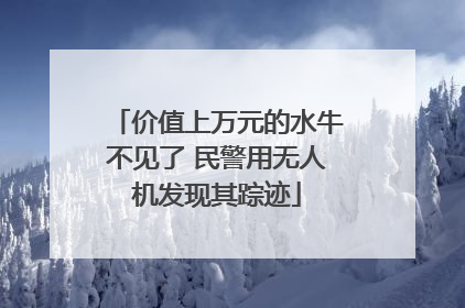 价值上万元的水牛不见了 民警用无人机发现其踪迹