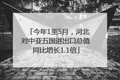 今年1至5月，河北对中亚五国进出口总值同比增长1.1倍
