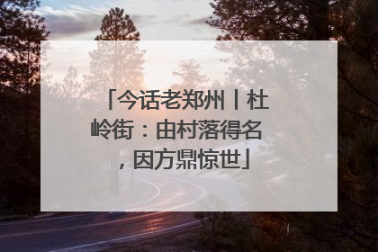 今话老郑州丨杜岭街：由村落得名，因方鼎惊世
