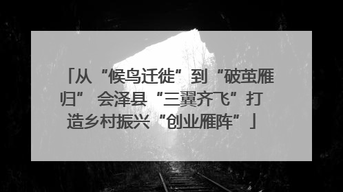 从“候鸟迁徙”到“破茧雁归” 会泽县“三翼齐飞”打造乡村振兴“创业雁阵”
