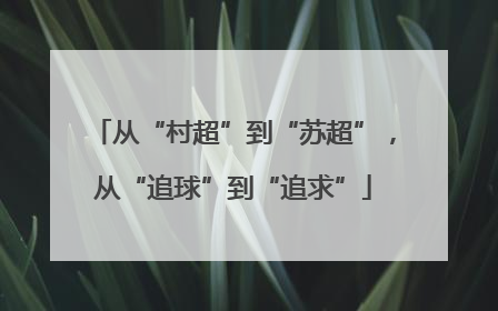 从“村超”到“苏超”，从“追球”到“追求”