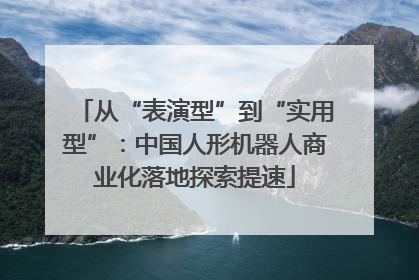 从“表演型”到“实用型”：中国人形机器人商业化落地探索提速