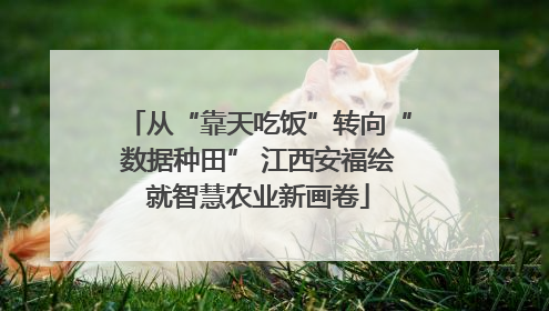 从“靠天吃饭”转向“数据种田” 江西安福绘就智慧农业新画卷