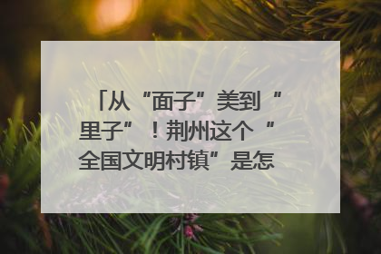 从“面子”美到“里子”！荆州这个“全国文明村镇”是怎样炼成的？