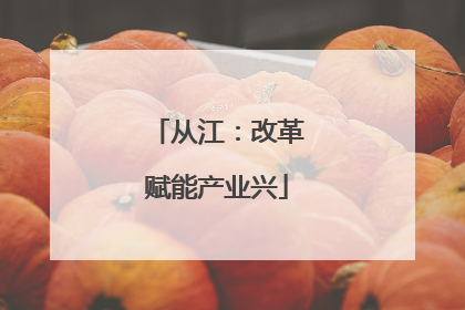 从江：改革赋能产业兴