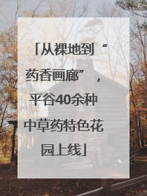 从裸地到“药香画廊”，平谷40余种中草药特色花园上线
