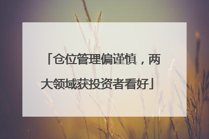 仓位管理偏谨慎，两大领域获投资者看好