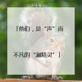 他们，是“声”而不凡的“澜精灵”