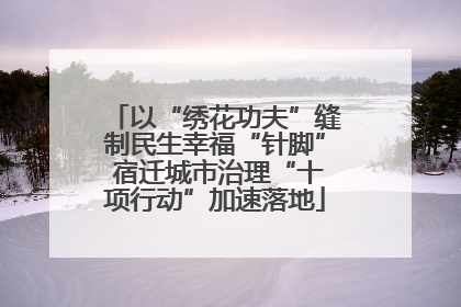 以“绣花功夫”缝制民生幸福“针脚” 宿迁城市治理“十项行动”加速落地