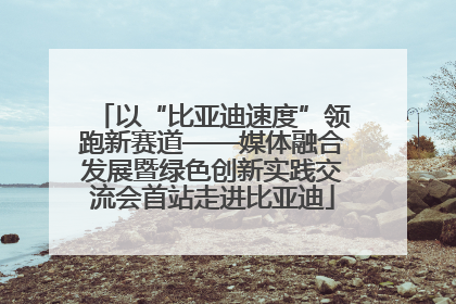 以“比亚迪速度”领跑新赛道——媒体融合发展暨绿色创新实践交流会首站走进比亚迪