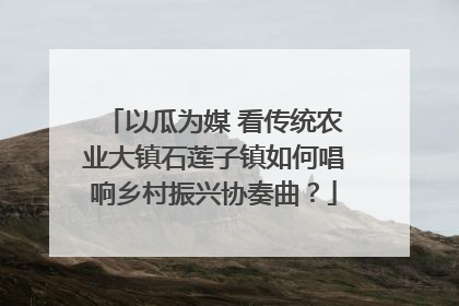 以瓜为媒 看传统农业大镇石莲子镇如何唱响乡村振兴协奏曲？