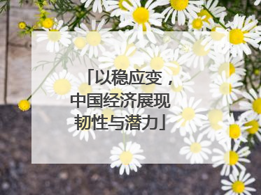 以稳应变，中国经济展现韧性与潜力