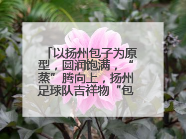 以扬州包子为原型，圆润饱满，“蒸”腾向上，扬州足球队吉祥物“包赢”亮相即售罄