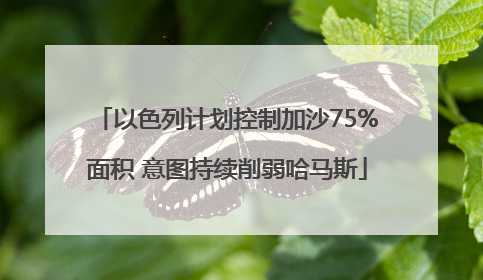 以色列计划控制加沙75%面积 意图持续削弱哈马斯